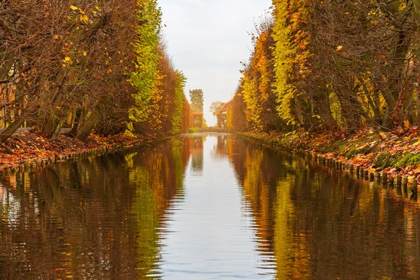 Stagno nel parco autunnale — Foto Stock