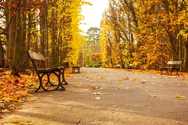 Lege bank in het herfstpark — Stockfoto