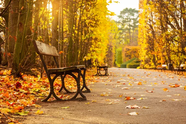 Empty bench in the autumnal park — Stock Photo, Image