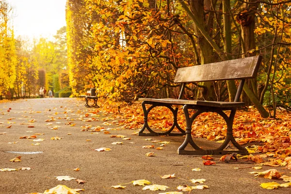 Пустая скамейка в осеннем парке — стоковое фото
