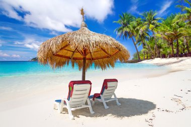 Tropikal plaj sahne--dan güneş tatil