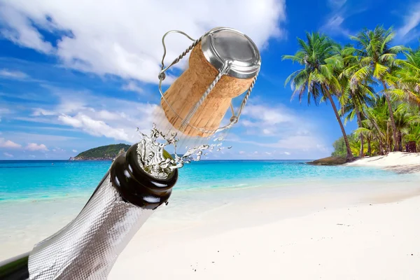 Celebrations on the tropical beach — Stock Photo, Image