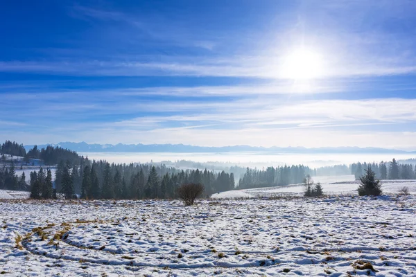 Panorama van de Tatra gebergte in wintertijd — Stockfoto