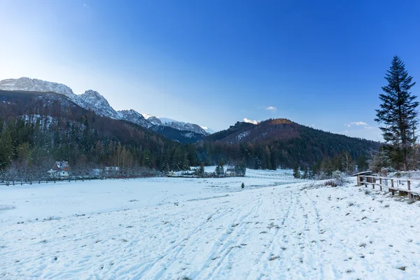 Vale nevado nas montanhas Tatra — Fotografia de Stock