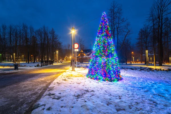 Χριστουγεννιάτικο δέντρο φώτα στο πάρκο — Φωτογραφία Αρχείου