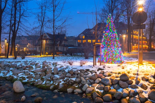 Árvore de Natal luzes no parque — Fotografia de Stock