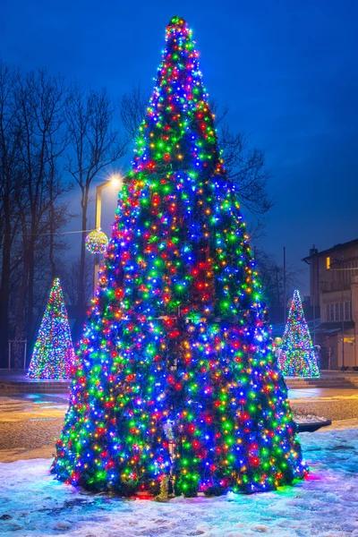 Christmas tree lights in the park — Stock Photo, Image