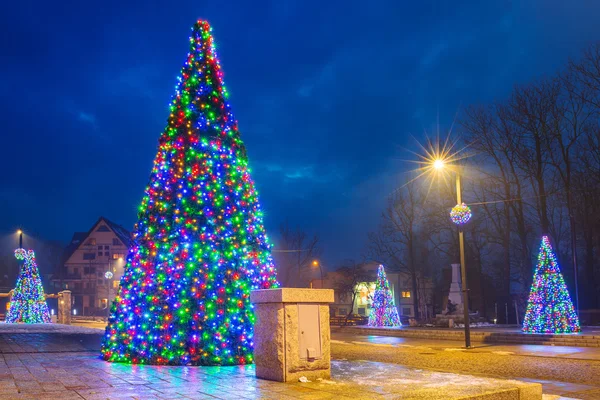 Christmas tree lights in the park — Stock Photo, Image