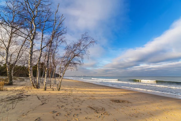 Bela praia com bétulas no Mar Báltico — Fotografia de Stock