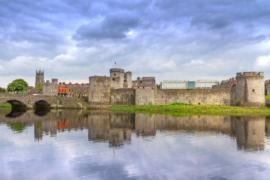 John castle Limerick Kral