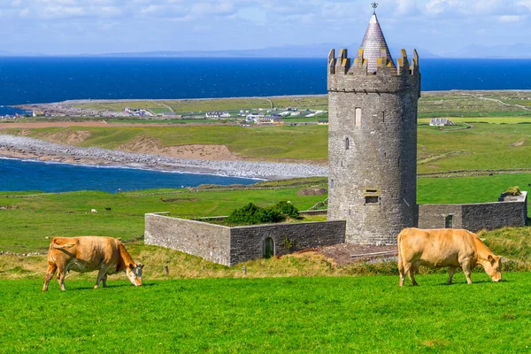 Castillo de Doonagore en Irlanda — Foto de Stock