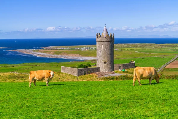 Doonagore castle in Ireland — Stock Photo, Image