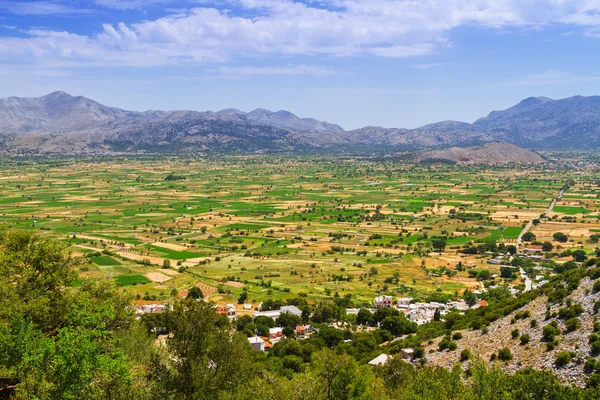 Agricultura y agricultura Meseta de Lasithi en Creta — Foto de Stock