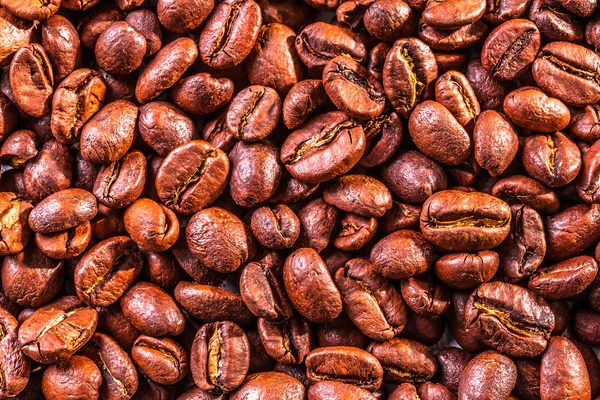 Coffee beans — Stock Photo, Image