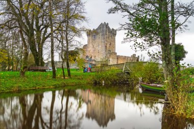 Ross Castle İrlanda