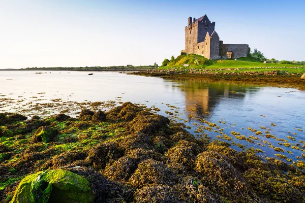 Dunguaire castle v Irsku — Stock fotografie