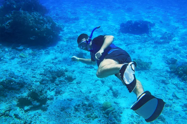 Snorkeling in the Red Sea — Stock Photo, Image