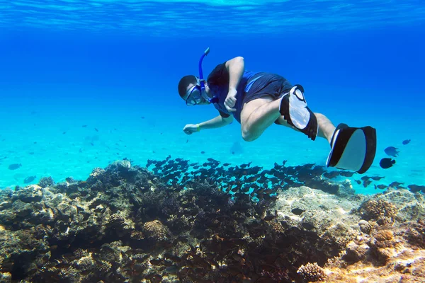 Snorkeling in the Red Sea — Stock Photo, Image