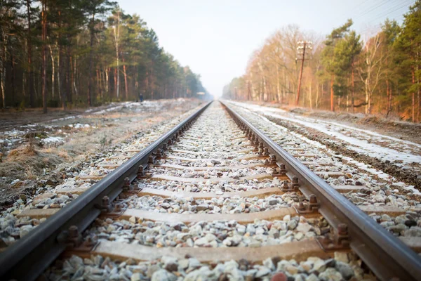 Train rails in Poland — Stock Photo, Image