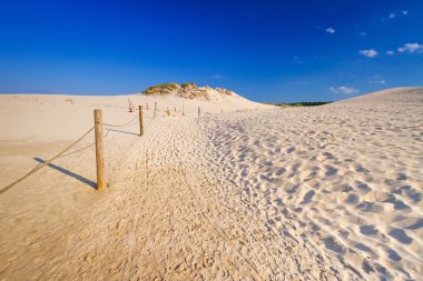 Moving dunes park near Baltic Sea in Poland clipart