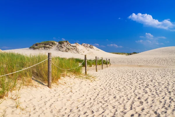 Parque de dunas móveis perto do Mar Báltico na Polônia — Fotografia de Stock