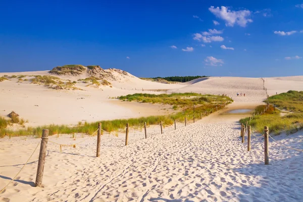 Moving dunes park near Baltic Sea in Poland — Stock Photo, Image