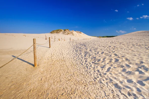 Moving dunes park near Baltic Sea in Poland — Stock Photo, Image