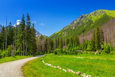 Tatra Dağları'nda Trail güzel sahne