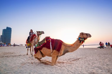 Deve binmek Dubai plaj