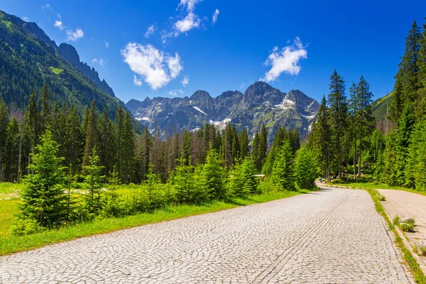 Tatra Dağları'nda Trail güzel sahne — Stok fotoğraf