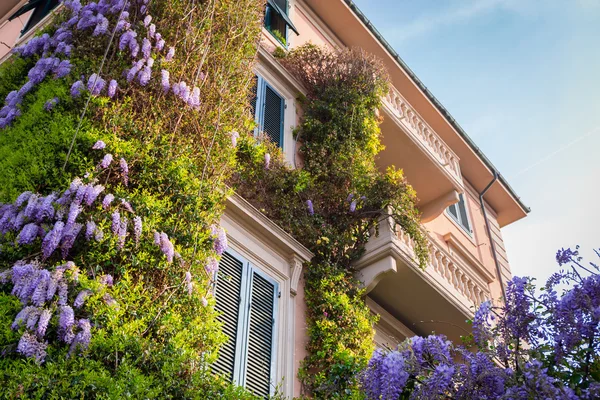 Arquitectura italiana de la ciudad de Pisa — Foto de Stock