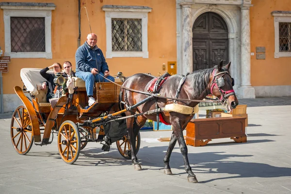 Jazda konna przewozu na ulicach starego miasta Pizy — Zdjęcie stockowe