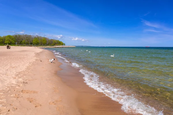 Красивый пляж на Балтийском море — стоковое фото