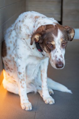 üzgün kenar kömür ocağı