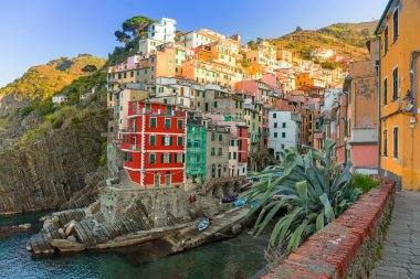 Riomaggiore town on the coast of Ligurian Sea clipart