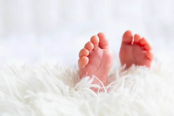 Pequenos pés de bebê recém-nascido — Fotografia de Stock