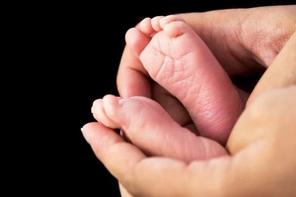 Newborn baby feet — Stock Photo, Image