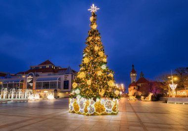 Sopot, Polonya - 15 Aralık 2025: Akşam karanlığında Sopot 'ta aydınlatılmış Noel ağacı. Polonya