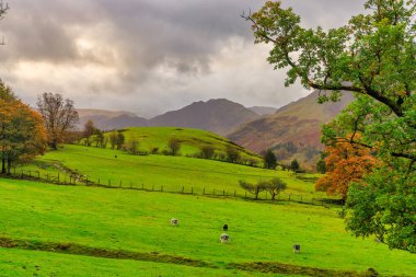 İngiltere 'nin güzel sonbahar manzarası. Birleşik Krallık