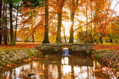 Autumn in the park in Poland