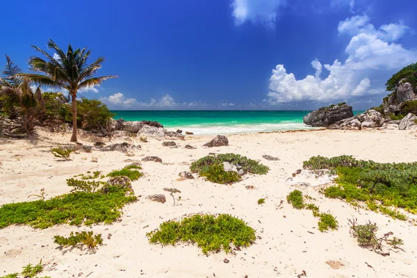 Spiaggia del Mar dei Caraibi in Messico — Foto Stock