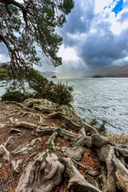 Lake District Ulusal Parkı 'ndaki Derwentwater Gölü' nde rüzgarlı bir sonbahar. İngiltere, İngiltere