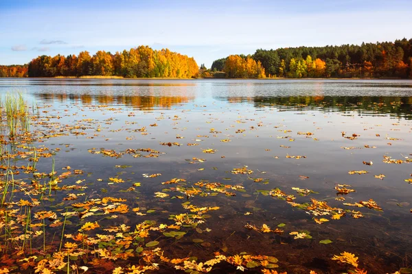 Jesień nad jeziorem — Zdjęcie stockowe