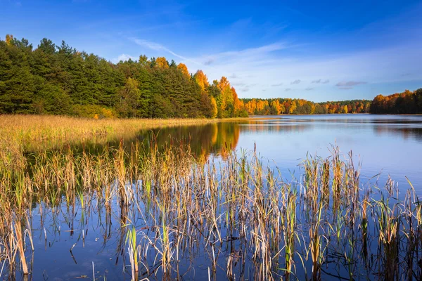 Hösten vid sjön — Stockfoto