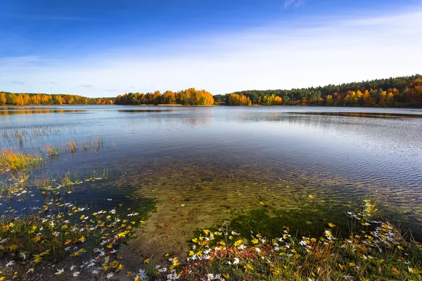 Hösten vid sjön — Stockfoto