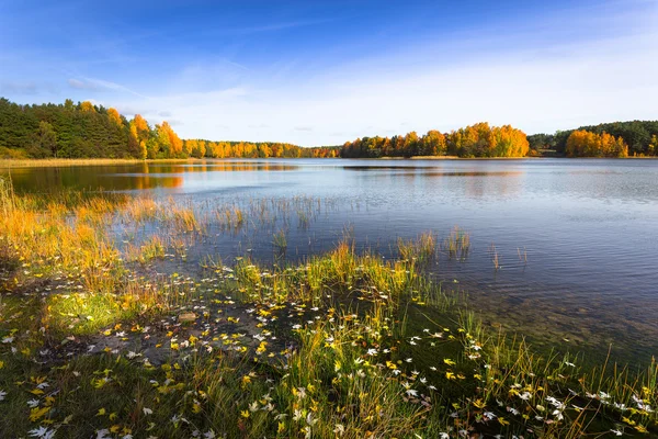 Осінь біля озера — стокове фото