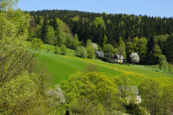 Erzgebirge baharda
