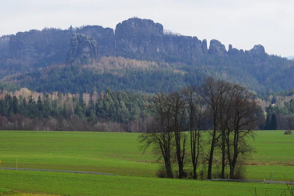 Schramm stenen met Falkenstein/Harz — Stockfoto