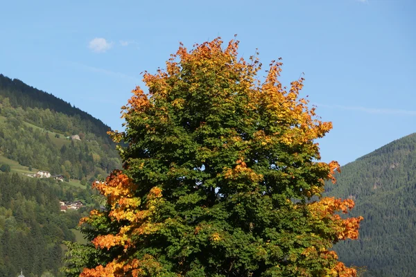 Frühherbstliche Farbe — Stockfoto