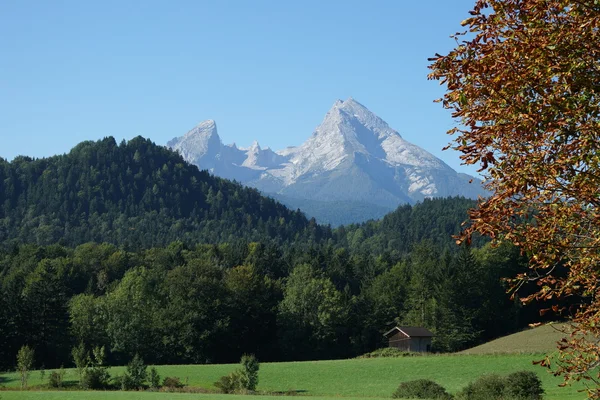 Watzmann z północy Obrazek Stockowy